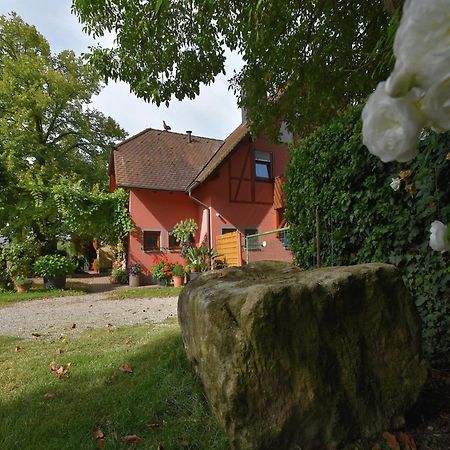 Countryside Apartment With Garden Schallstadt Esterno foto