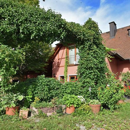 Countryside Apartment With Garden Schallstadt Esterno foto