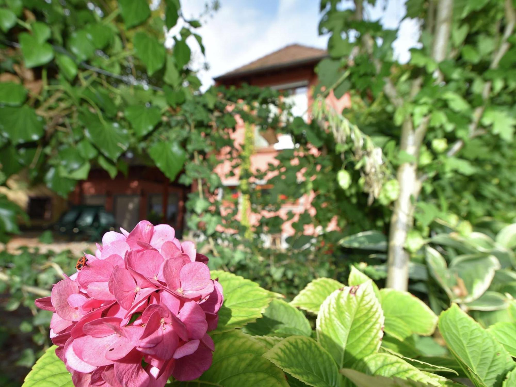 Countryside Apartment With Garden Schallstadt Esterno foto