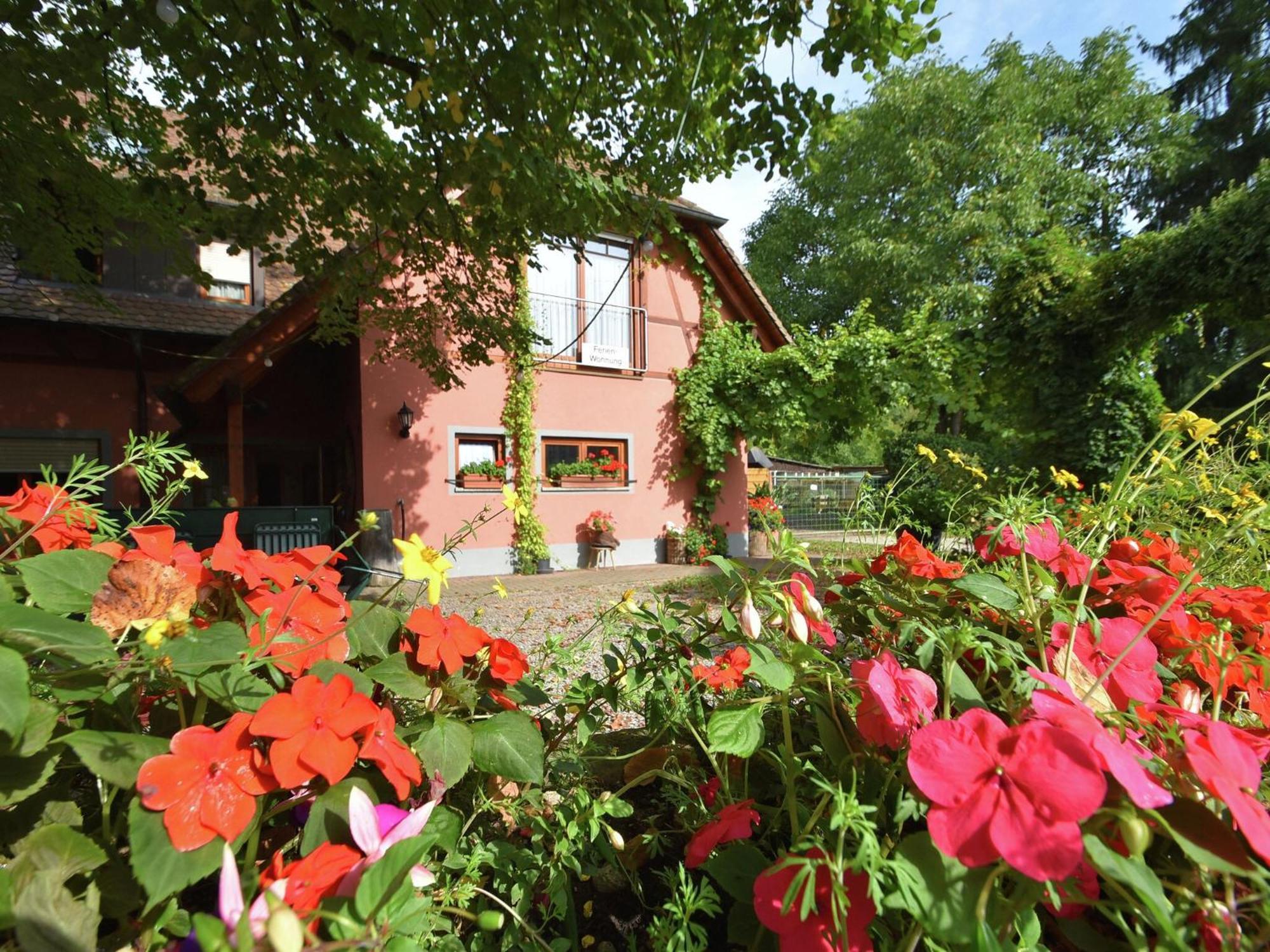 Countryside Apartment With Garden Schallstadt Esterno foto