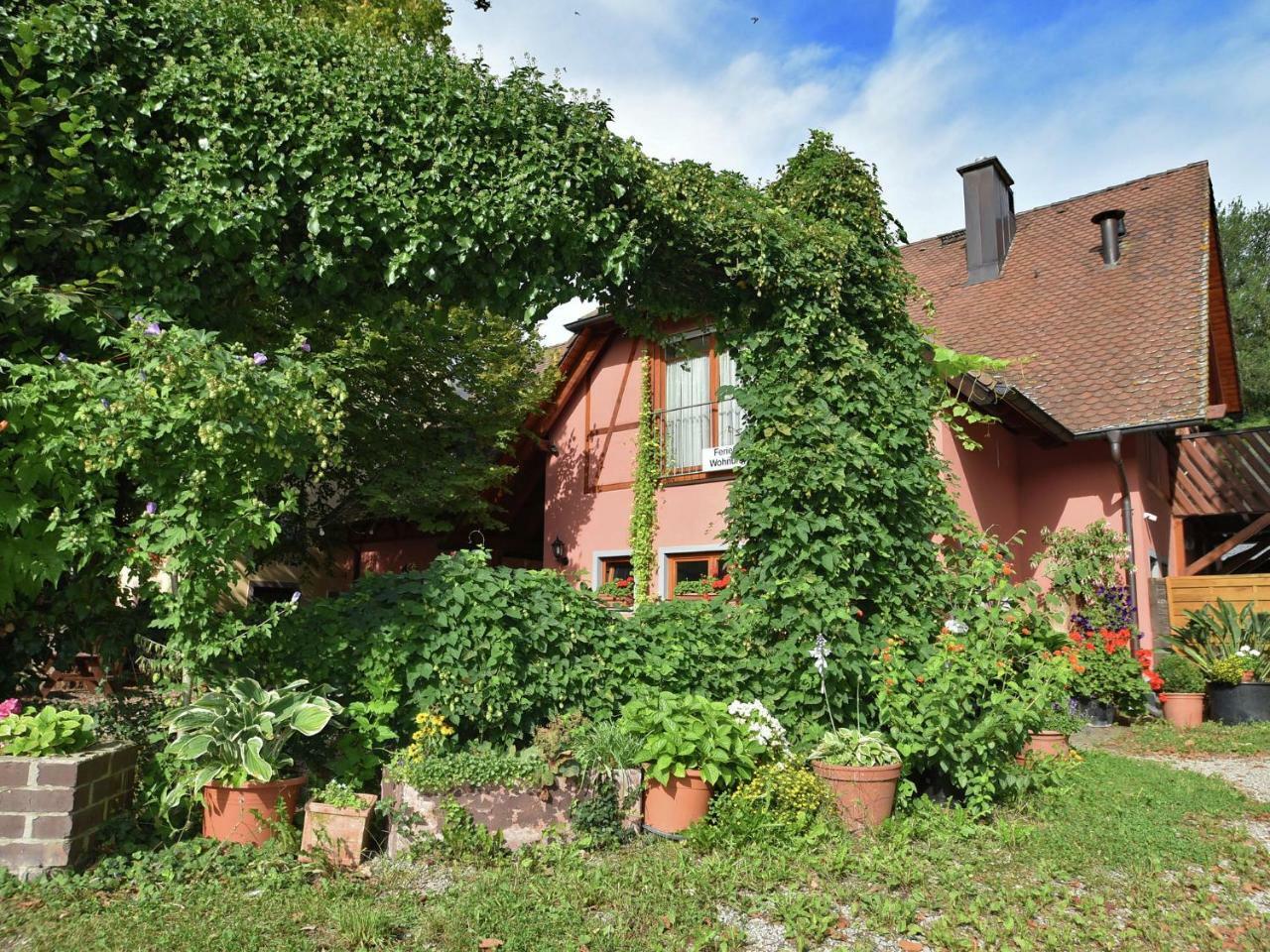 Countryside Apartment With Garden Schallstadt Esterno foto